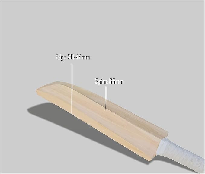 Premium Kashmiri Willow Cricket Bat – Professional Batting Cricket Bat