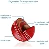 Premium Leather Cricket Ball – Match & Practice Cricket Ball
