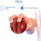 Premium Leather Cricket Ball – Match & Practice Cricket Ball