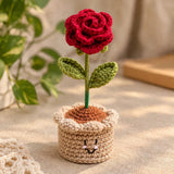 Blooming Love Handmade Crochet Rose Pot