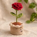 Blooming Love Handmade Crochet Rose Pot