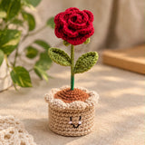 Blooming Love Handmade Crochet Rose Pot